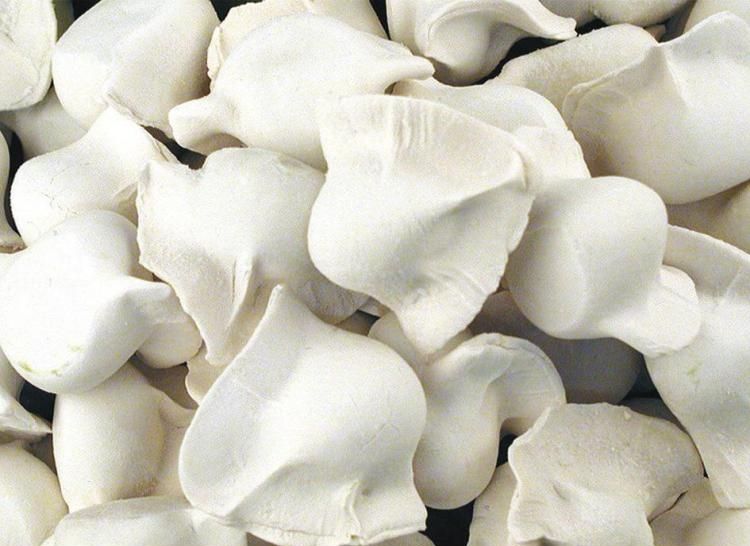 為什么選擇低溫速凍冷庫貯藏水餃、湯圓