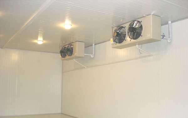 冷庫是否可以起到殺菌消毒的作用？