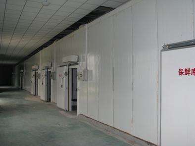 氣調(diào)庫(kù)相比較保鮮庫(kù)而言的話都有哪些特點(diǎn)？