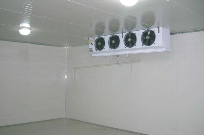 建造一個果蔬保鮮冷庫需要多少錢？