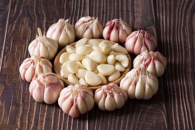 大蒜冷庫多少錢一平方？大蒜保鮮冷庫建造溫度及造價