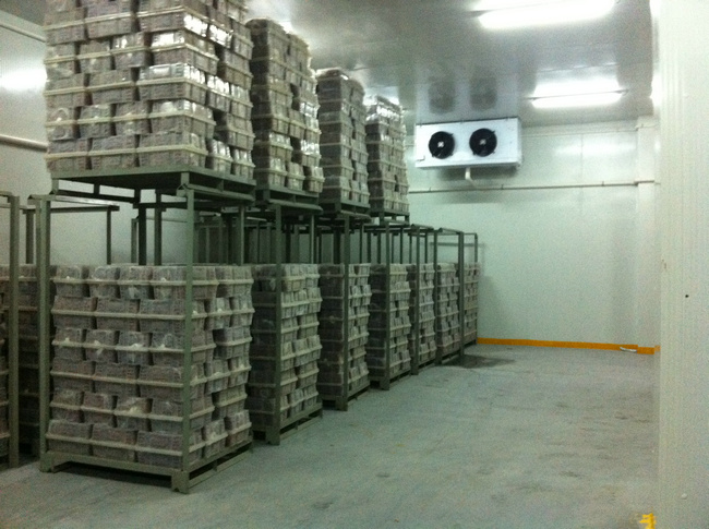 冷庫(kù)裝什么燈合適？冷庫(kù)燈和普通燈有有什么區(qū)別