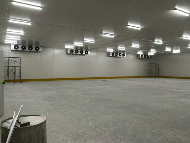 建造100平方冷凍庫需要多少錢？