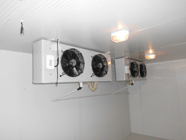 什么是冰庫(kù)？冰庫(kù)如何設(shè)計(jì)建造